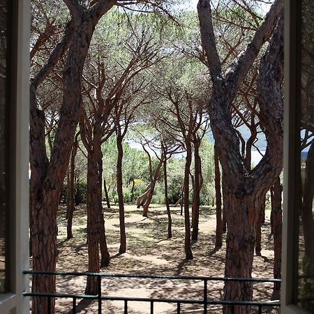Hotel Villa Nettuno Марина ди Кампо Екстериор снимка