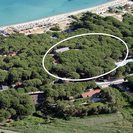Hotel Villa Nettuno Марина ди Кампо Екстериор снимка